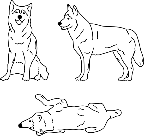 DOG 01
