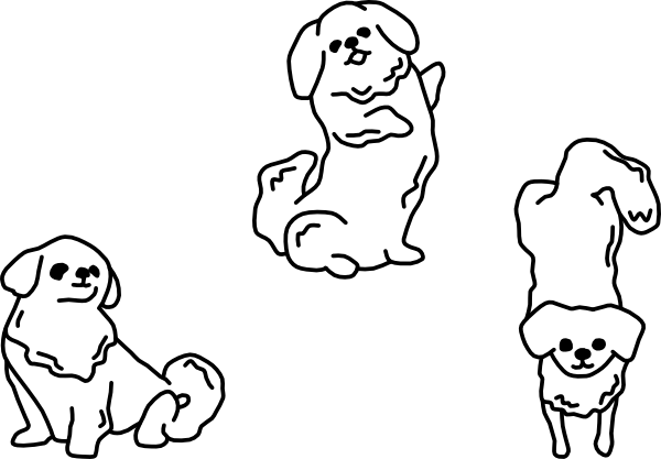 DOG 04