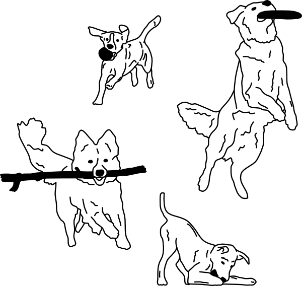 DOG 05
