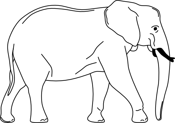 ELEPHANT 01