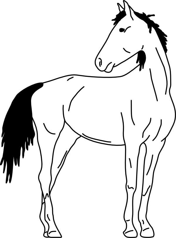 HORSE 02
