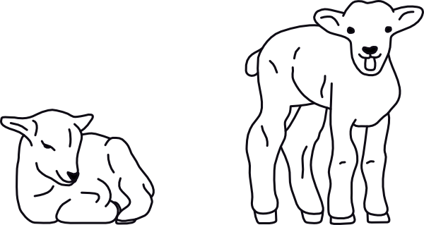 LAMP 01