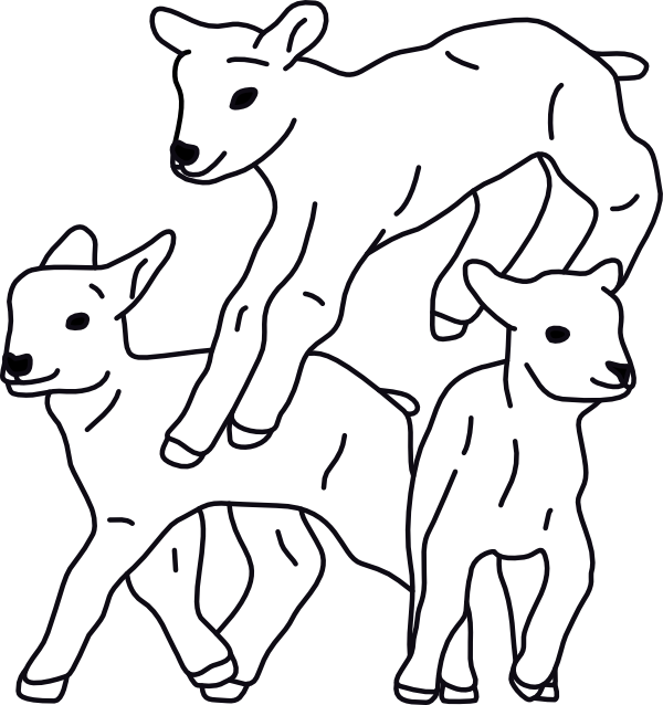 LAMB 02